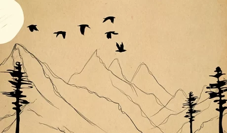 China’s Top Court Frees “Several” Birds with One Key