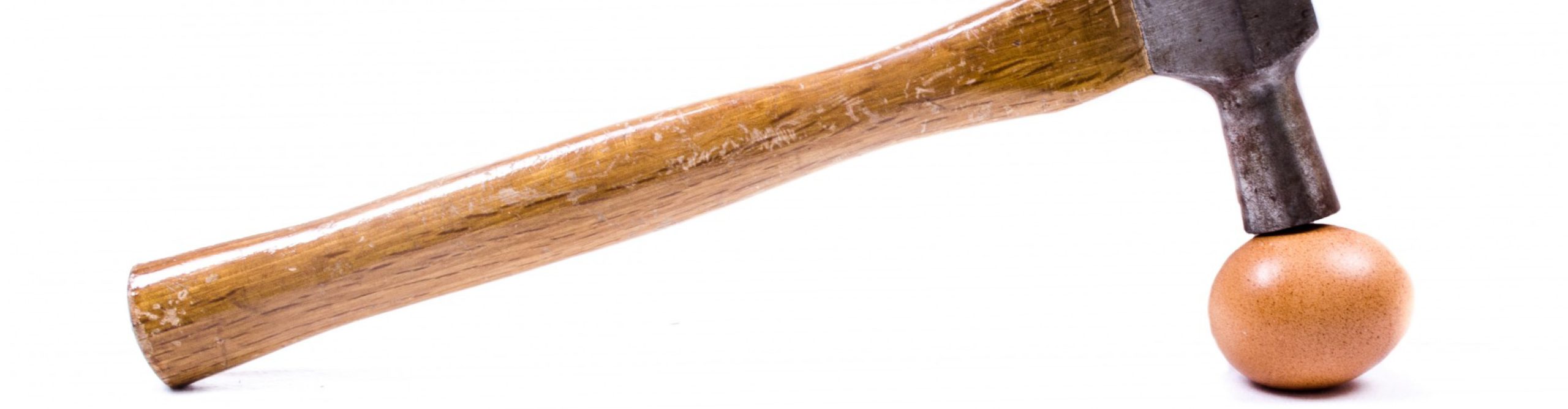 Empowering Courts to Protect “Eggs” Against “Hammers