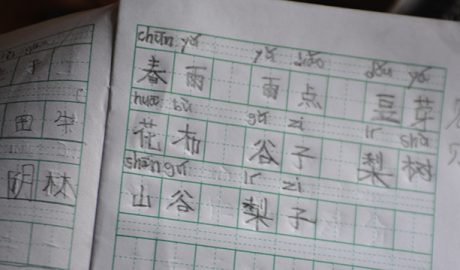 Can China Balance Between Languages and Reunification?