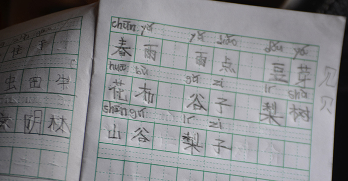 Can China Balance Between Languages and Reunification?